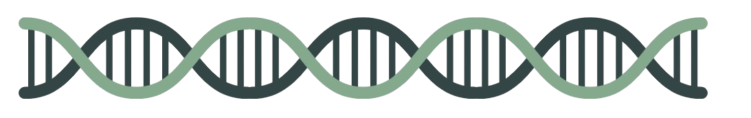 dna